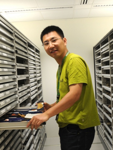 乐动平台官网创新论坛第一千八百零一讲：虫鸣凤舞伴花香：现代陆地生态系统的起源