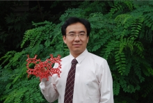 乐动平台官网创新论坛第一千二百七十三讲暨120周年校庆年系列活动： Unexpected slow diffusion in hierarchical porous materials with combined surface and configurational diffusion   