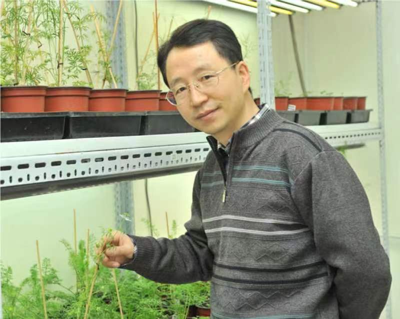 乐动平台官网创新论坛第一千二百六十八讲暨120周年校庆年系列活动：复杂花瓣的发育与进化